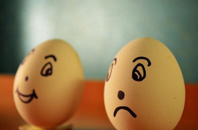 eggs