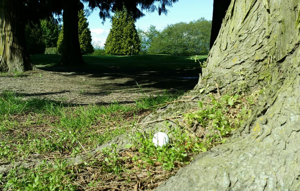 Bad Golf Shot