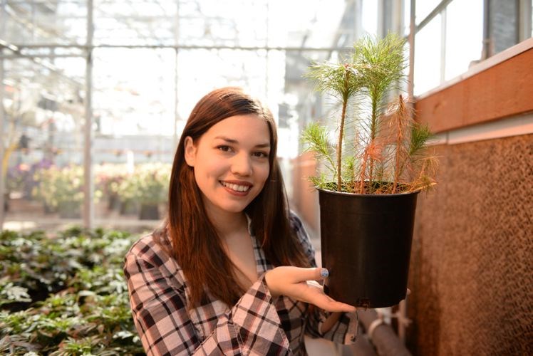 UNBCSeedlings.12.jpg