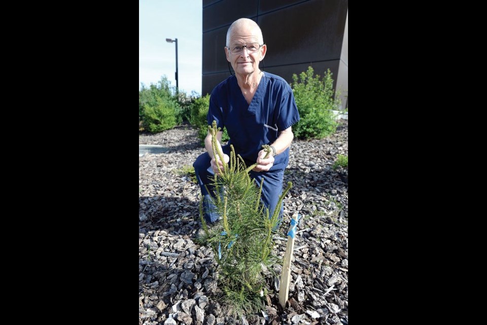 Jim Good, the founder and operator of Goodsir Nature Park, was one of 20 people to receive the BC Achievement Foundation's 2022 Community Award.
Citizen file photo