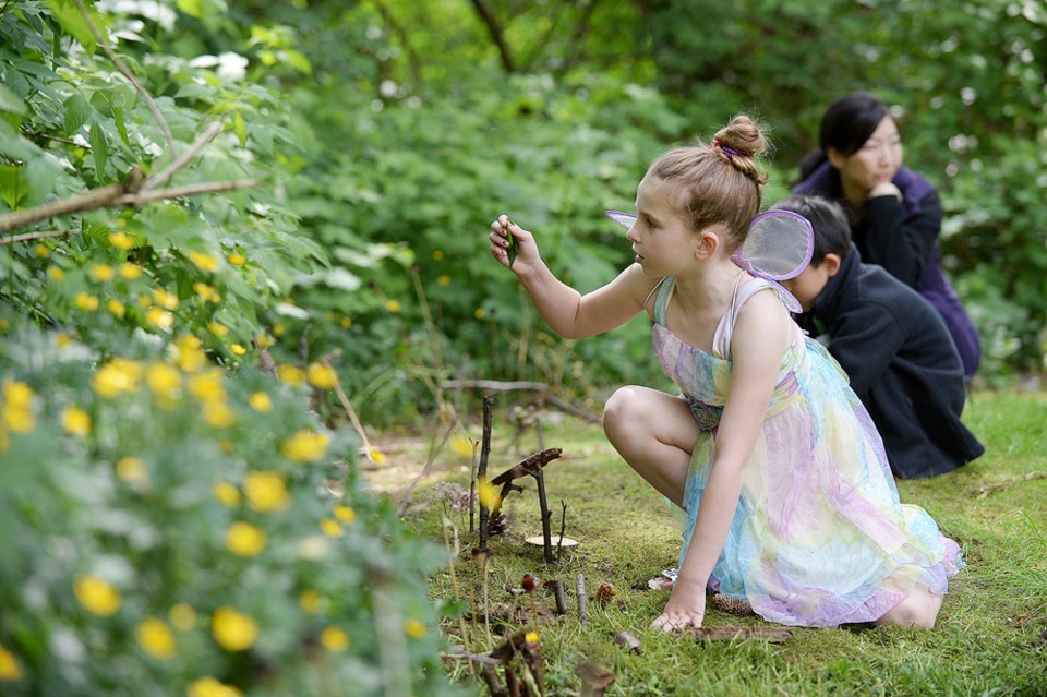 Fairy Forest gathering