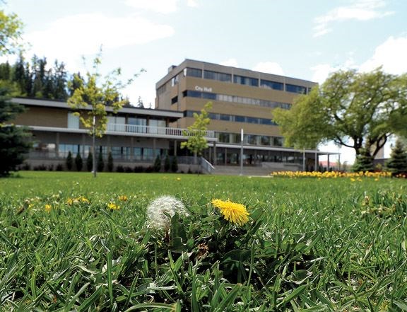 Dandelion-takeover.20.jpg