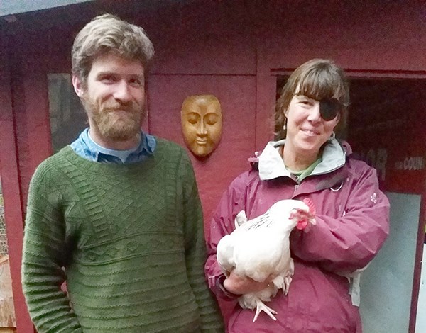 hens