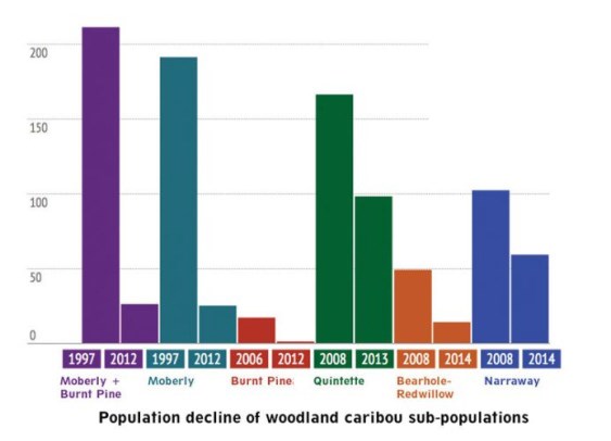 Caribou graph