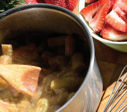 Rhubarb