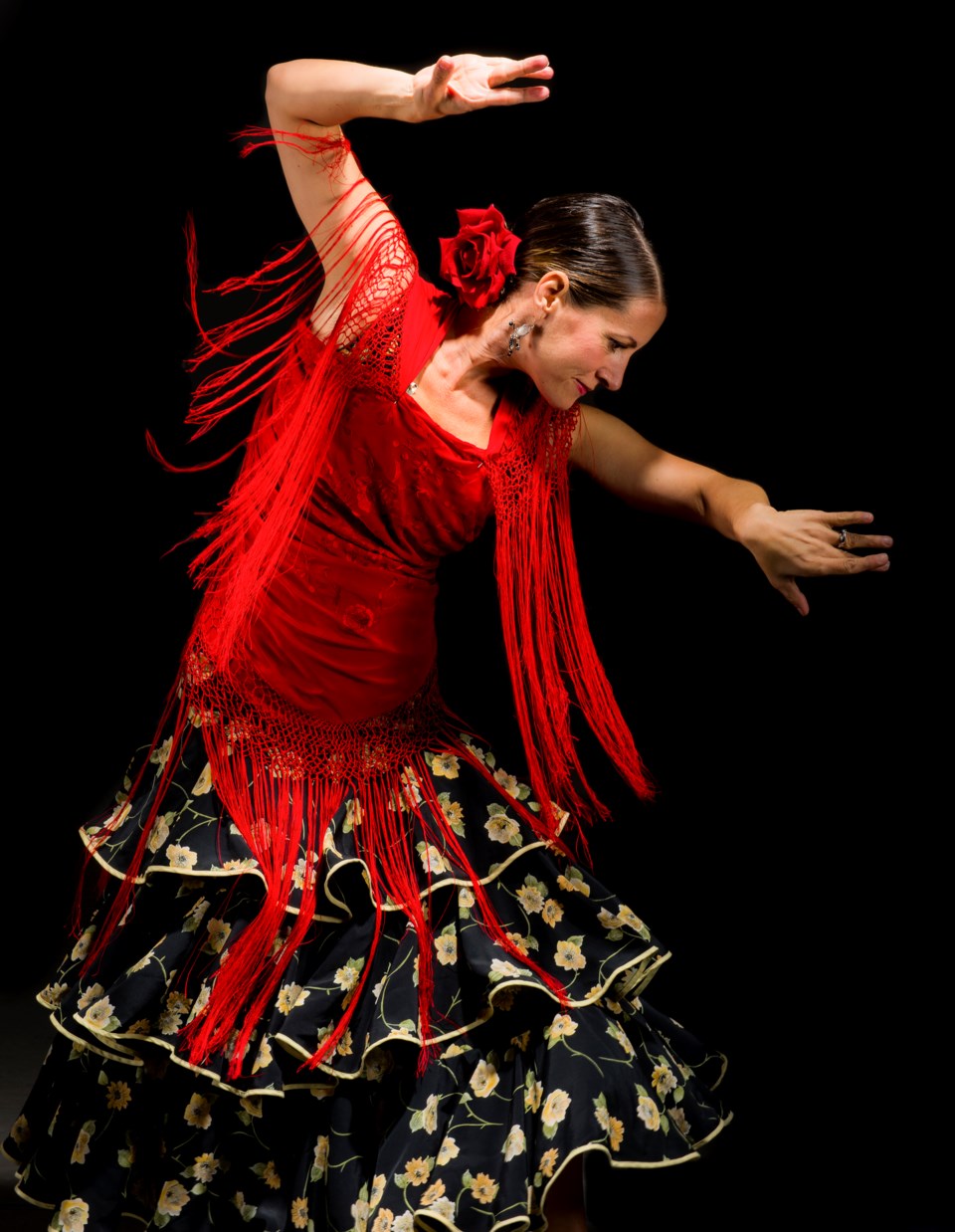 flamenco