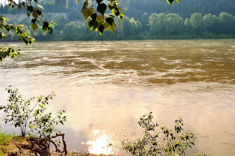 Fraser River high water