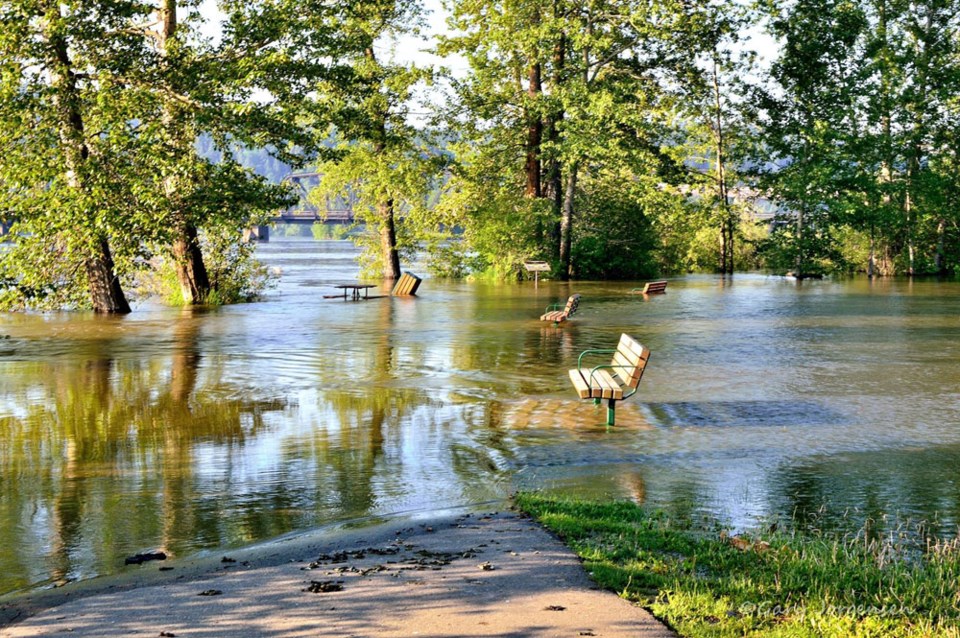 Cottonwood Island park flooded