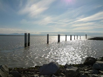 Garry Point pilings