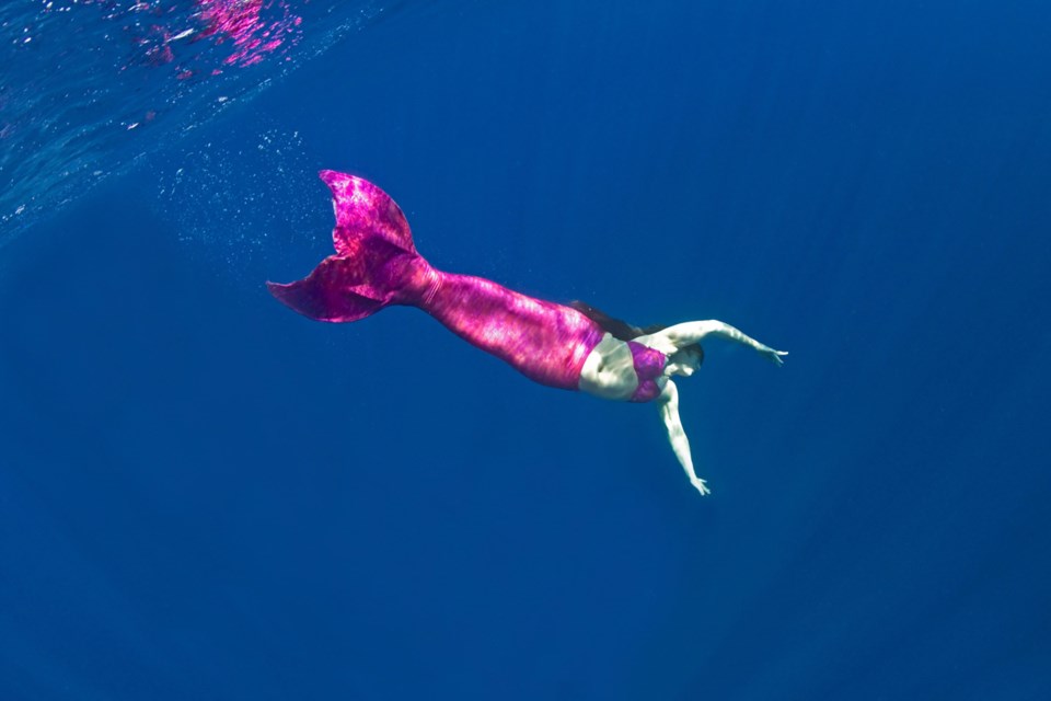 Mermaids, Annette Johnston