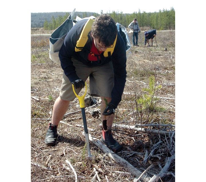 treeplanting.17.jpg