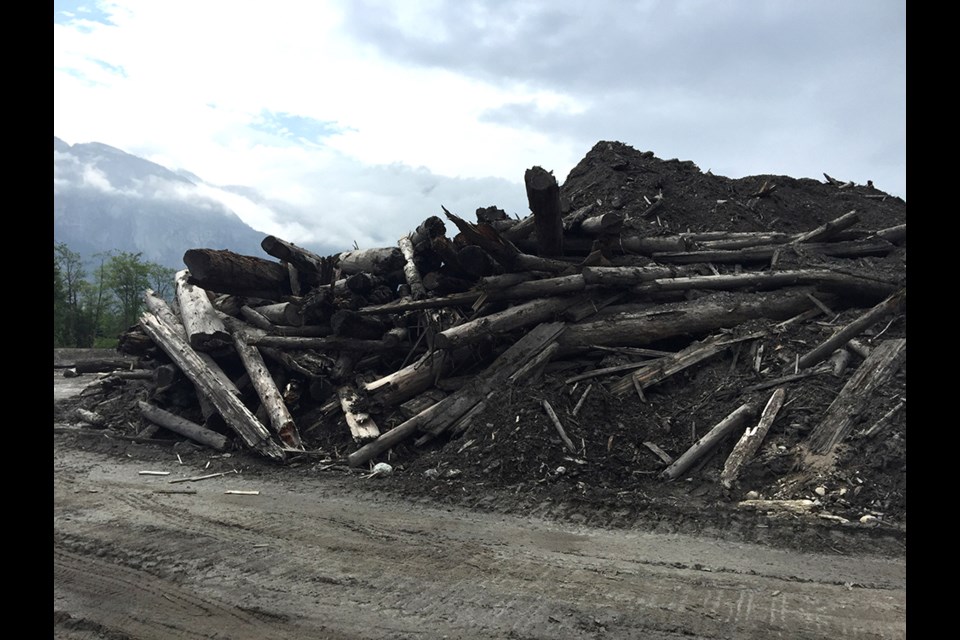 The pile of wood debris dug up during remediation work in the Squamish Estuary.