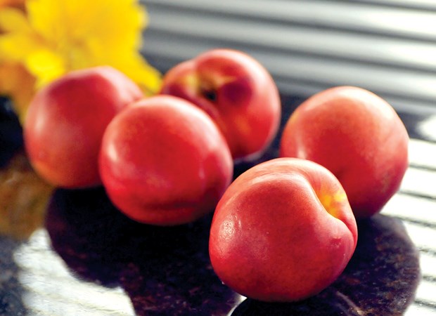 nectarines