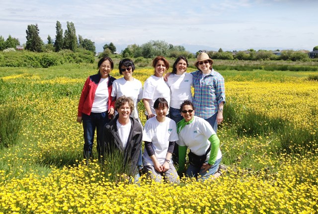 Almost half the 350 Sage North America workers, based in Richmond, volunteer at local charities, such as the Terra Nova Sharing Farm, instead of going to work.