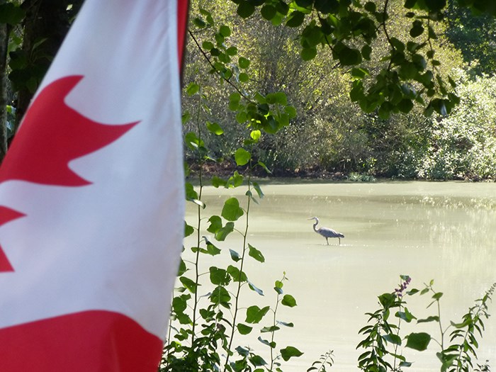 Blakeburn Lagoons Port Coquitlam