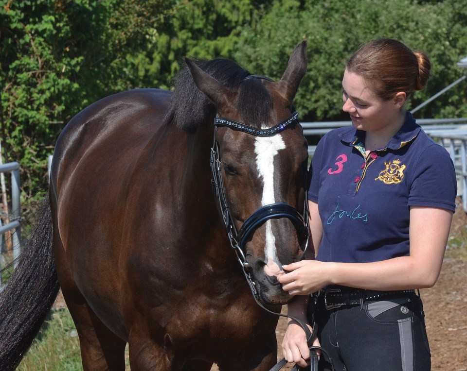 equestrian