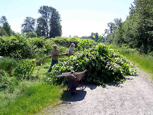 DeBoville Slough