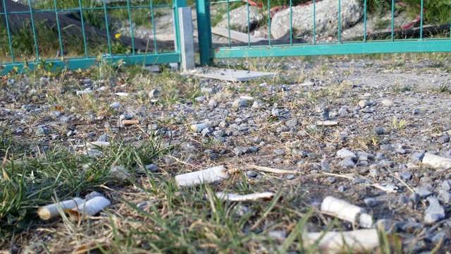 Discarded cigarette butts are one of the main causes of brush fires in the province
