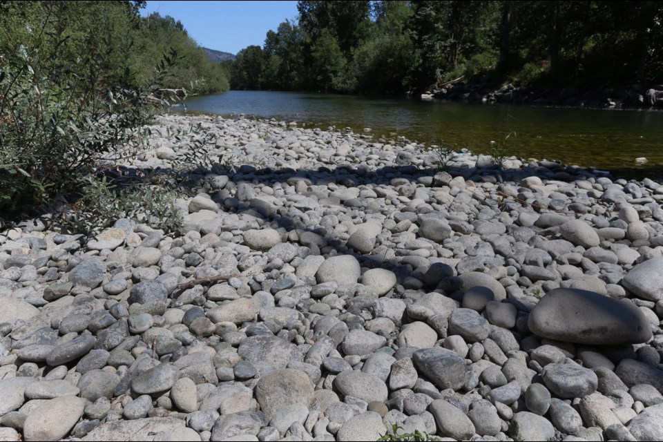 The Cowichan River in Duncan could see a further reduction in water flow if a paper mill gets its way, a move that could stress salmon.