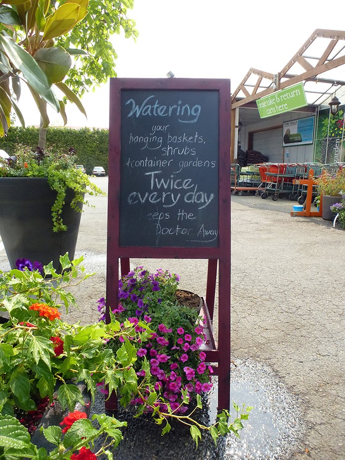 Watering advice Metro Vancouver
