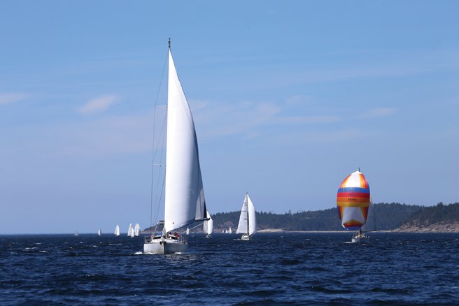 Regatta
