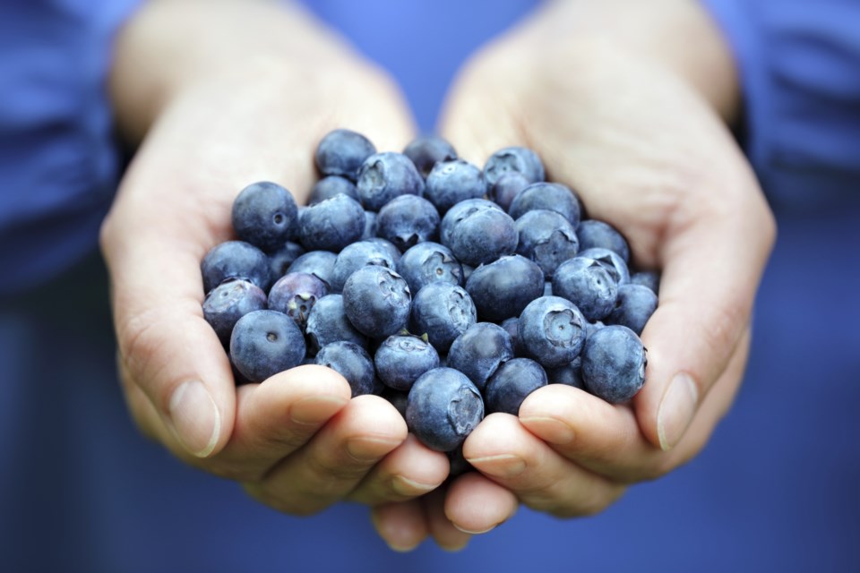 blueberries whole 0716