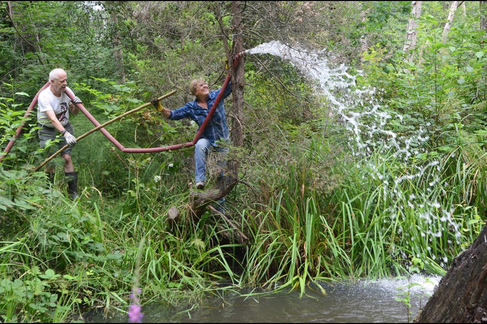 Nick Kvenich and Helen Soderholm from the Eagle Creek Streamkeepers pump cooler, more oxygen-rich water from the main stem of Eagle Creek into the rearing pond, where oxygen levels are dangerously low for fish.