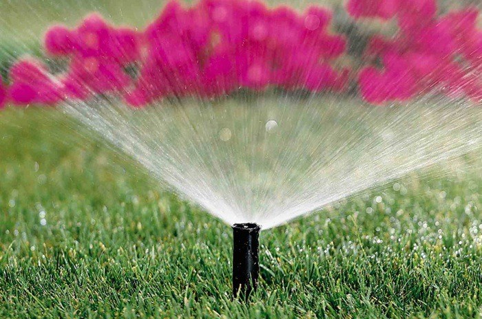lawn sprinkling