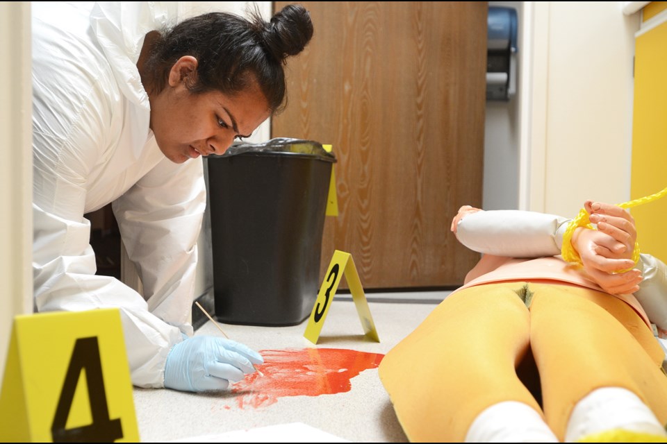 Surrey high school student Japnit Bhatia collects a “blood” sample last Thursday at a mock crime scene in a BCIT dorm room. Bhatia was one of 20 students participating in the technical institute’s popular CSI Academy, a summer science camp that gives students a taste of forensic investigation.