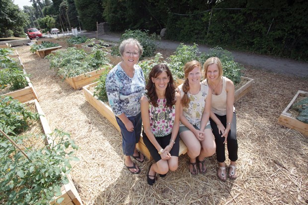 Sharing garden sprouts to life