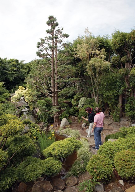 Art in the Garden