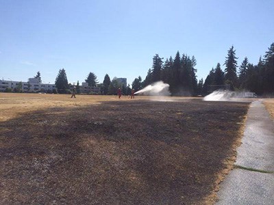 Winslow grass fire