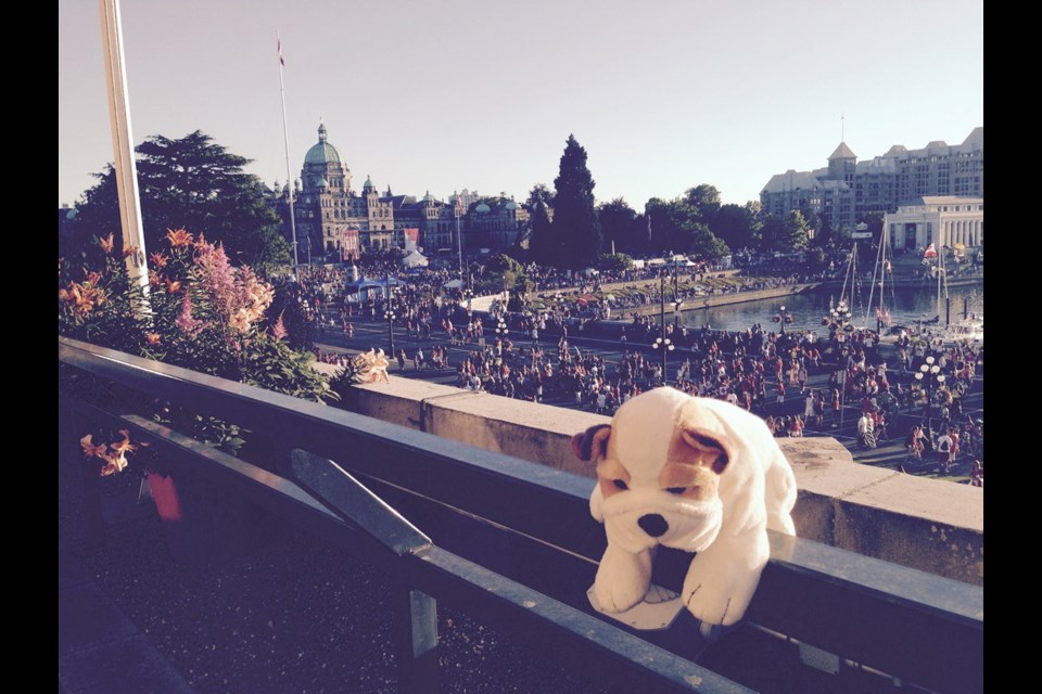 Annelies Vredeveldt thought she had lost her stuffed puppy Boris when she headed home to the Netherlands after a visit to Victoria. Turns out, he was taking in the sights, including Canada Day festivities, with the help of hotel staff.