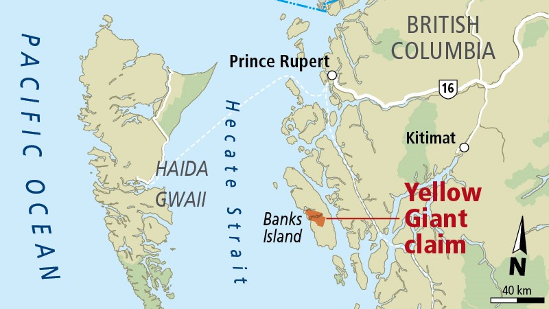 Yellow Giant mine claim area