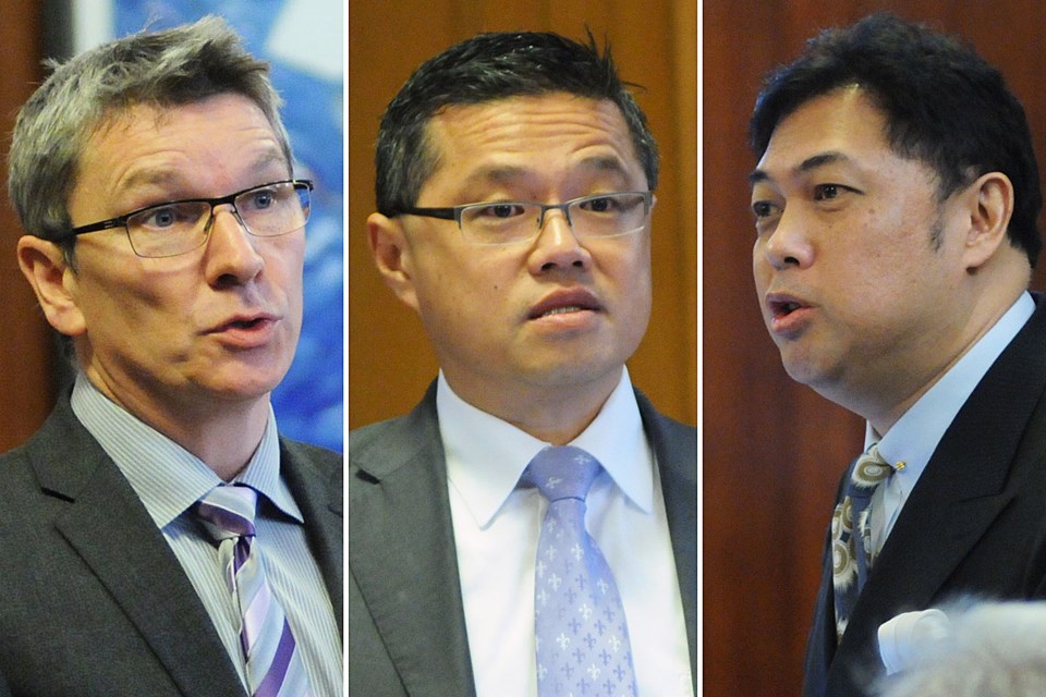 counciltriptych
