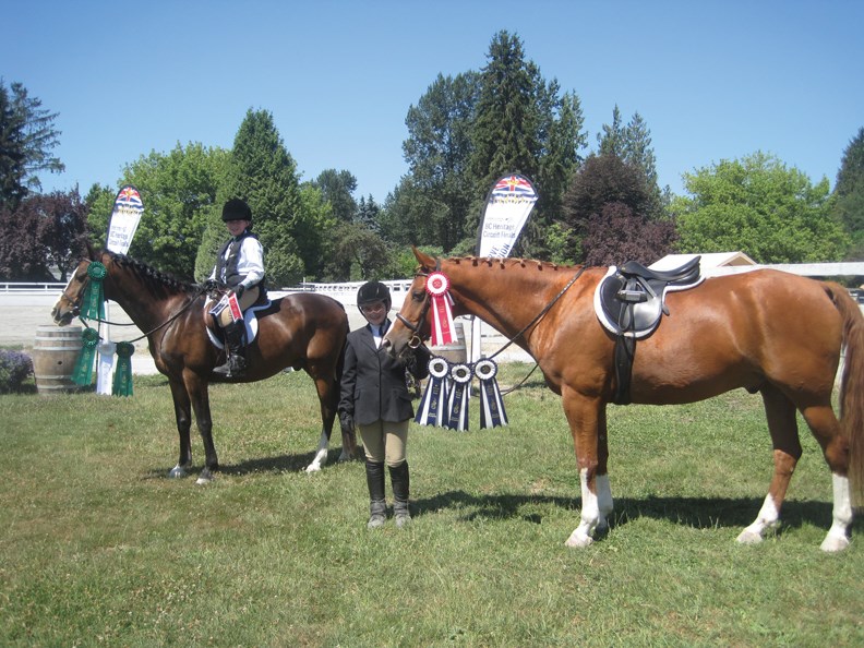 equestrian