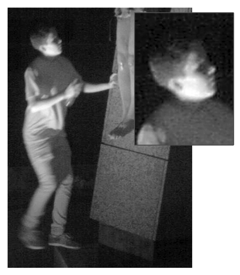 surveillance photo