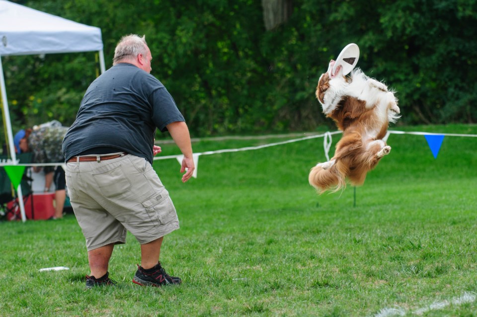 frisbee