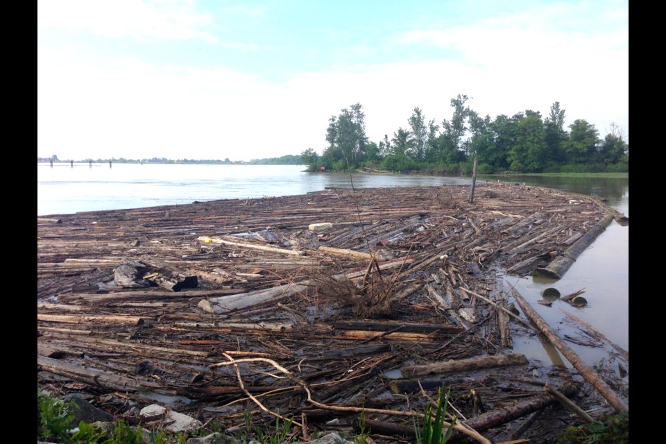Two booms that prevent debris from entering Steveston Channel are in desperate need of repair, according to teh City of Richmond and the Steveston Harbour Authority. Logs are now threatening boats and city infrastructure, such as piers.