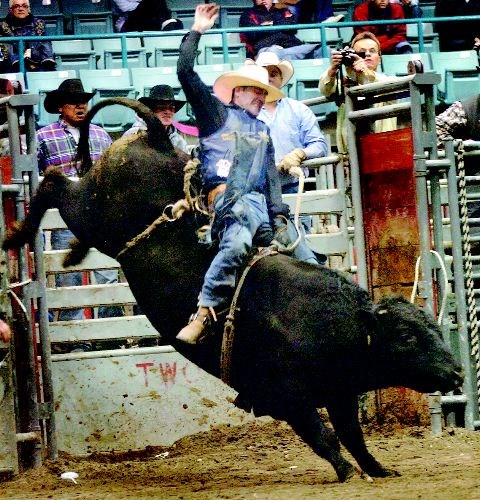 SPORT-rodeo-back-at-BCNE.jpg