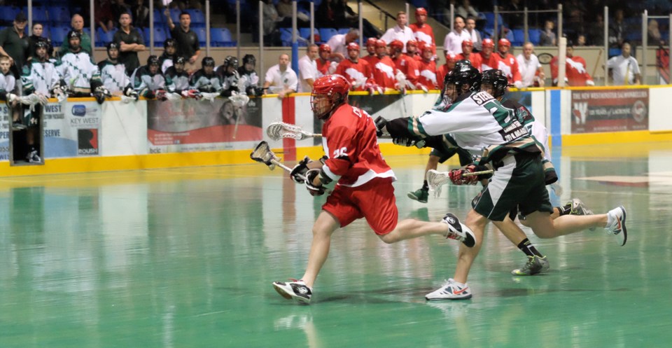 NW Salmonbellies