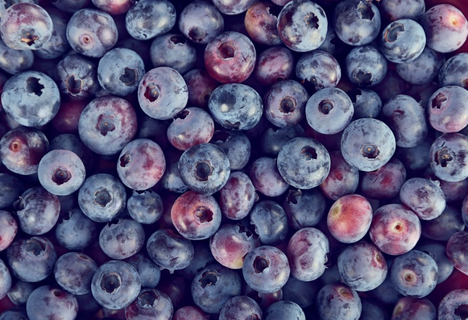 Whole Nourishment 0813