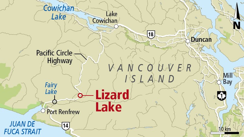 Lizard Lake fire map