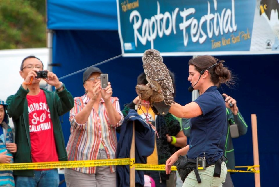 Sunny skies for Raptor Festival on Sunday Richmond News