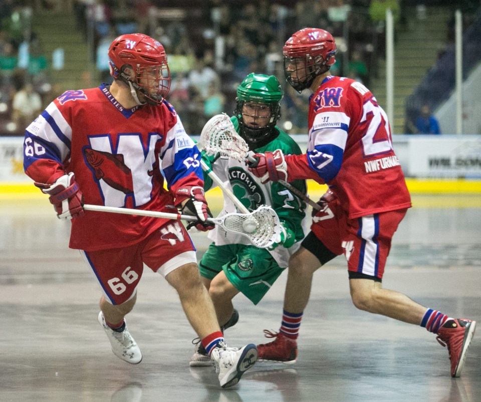 nw Salmonbellies