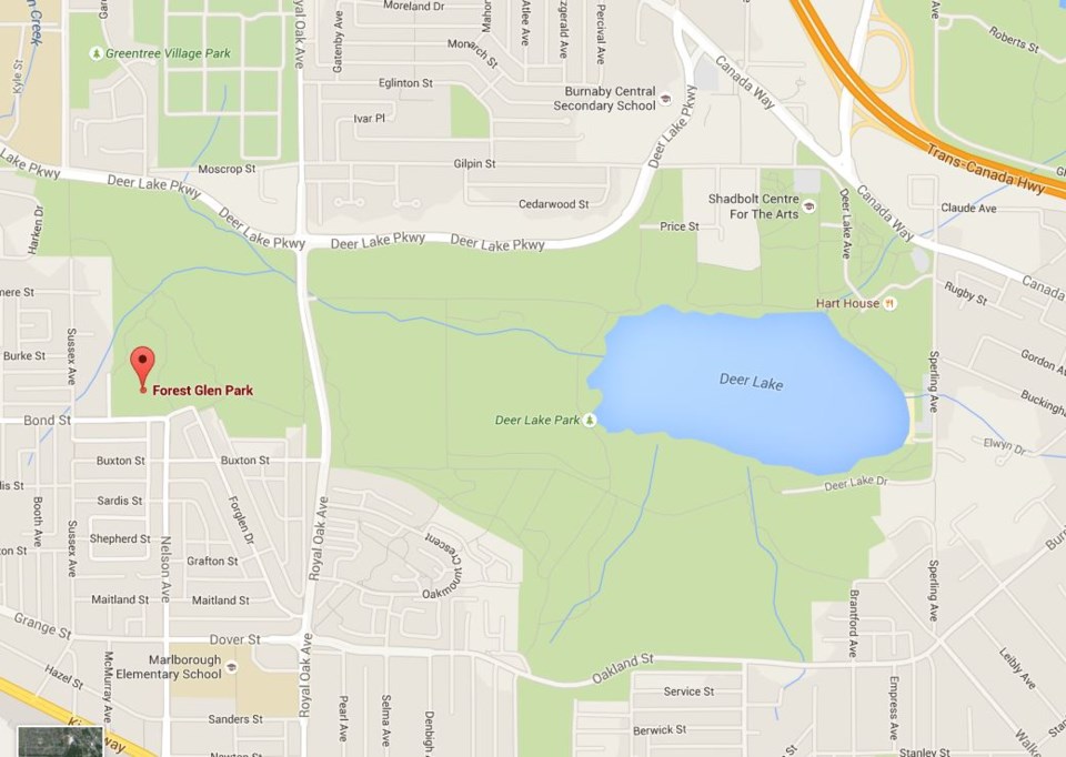 Forest glen park