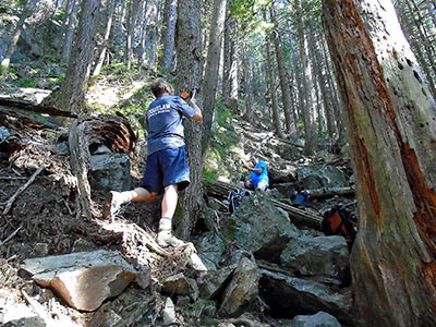 Coquitlam SAR trail markers