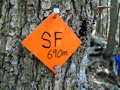 Coquitlam SAR trail marker