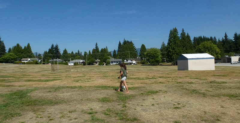 Dry Grass Winslow Coquitlam