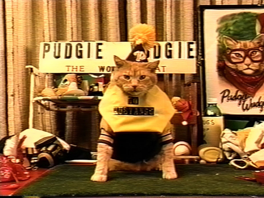 Frank and the Wondercat screens as part of VIFF's Canadian Images series.